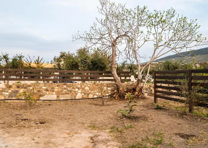 펜션 Paradisi Stone House