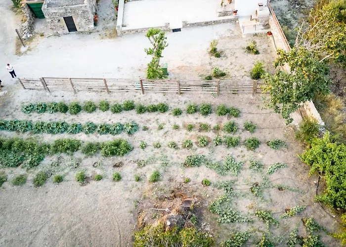 Paradisi Stone House Kosz