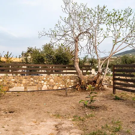 Tatil Evi Paradisi Stone House