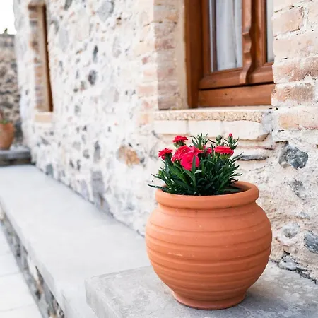 Tatil Evi Paradisi Stone House *