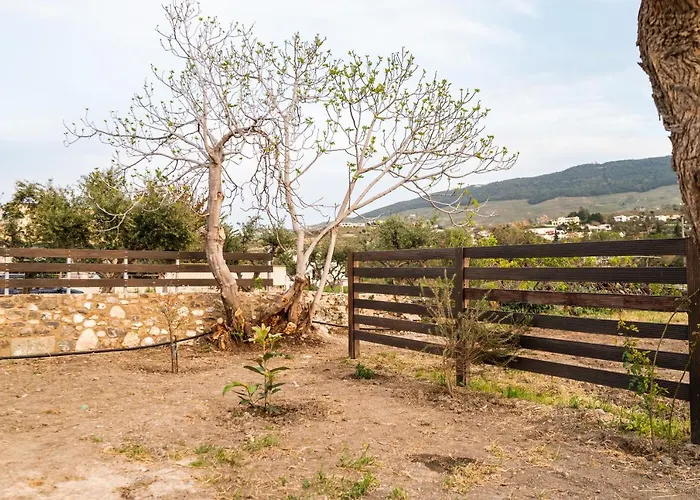 Paradisi Stone House Дом отдыха