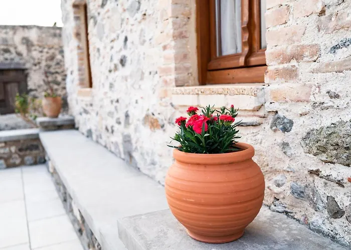 Casa vacanze Paradisi Stone House *